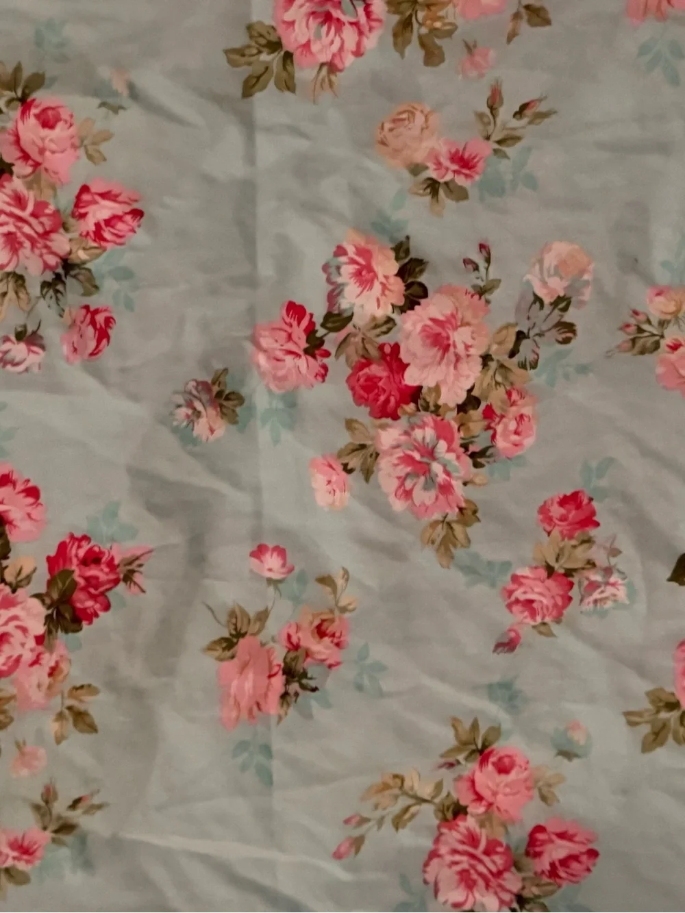 2 Shabby Cottagecore Standard Aqua Blue Cotton  Pillowcases Bright Pink Roses